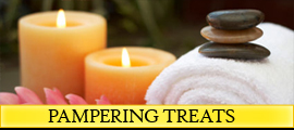 Seal Vip Pampering Treats